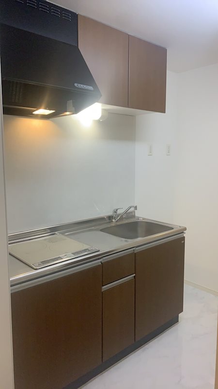 フェルメール 他部屋参考写真